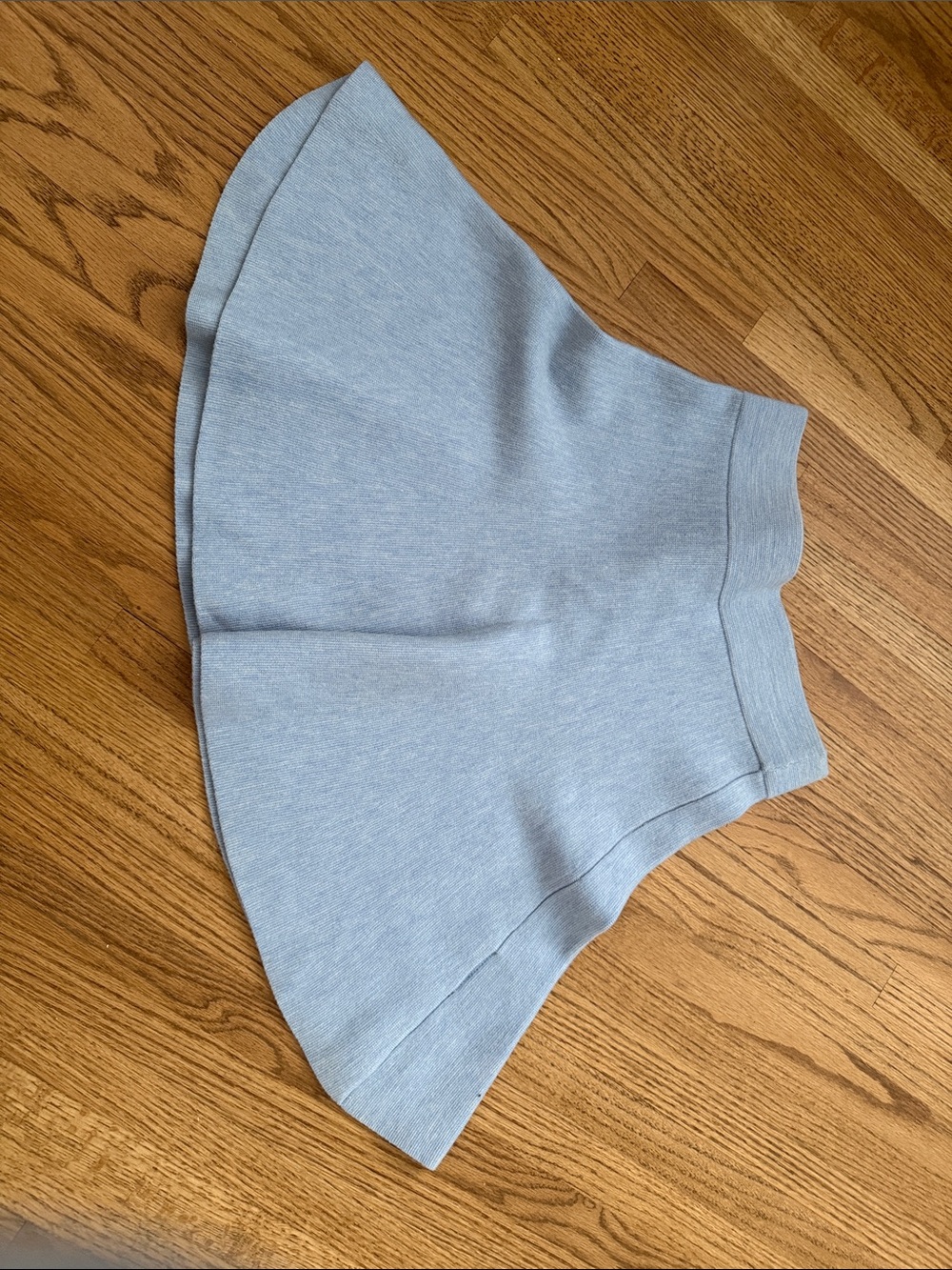 Club Monaco Pale Blue Circle Skirt